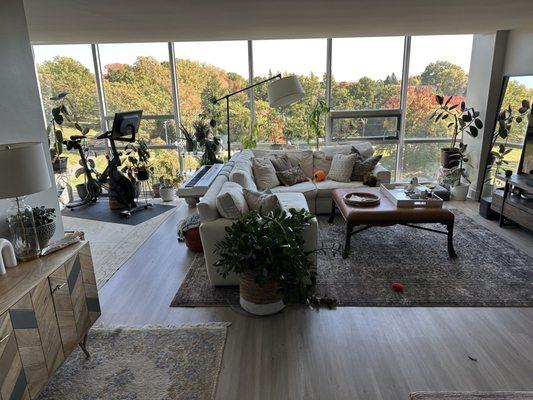 Scotty's Cleaning Services