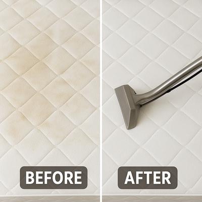 Ace Upholstery & Carpet Cleaning