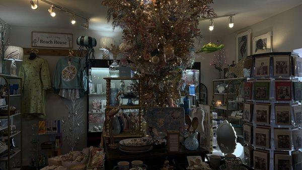 They just had beautiful displays