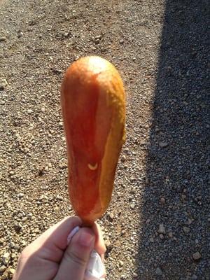 Best corndogs you'll ever have at the top of the hill 2 stands facing eachother