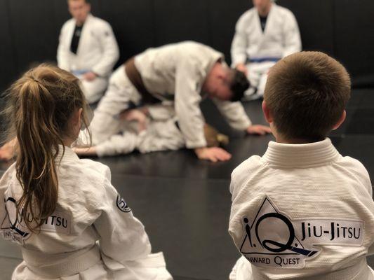 iQ Jiu-Jitsu