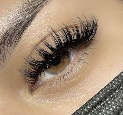 Ari Lash Beauty