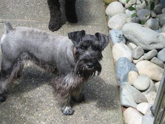 Supervised daycare provides fun adventure