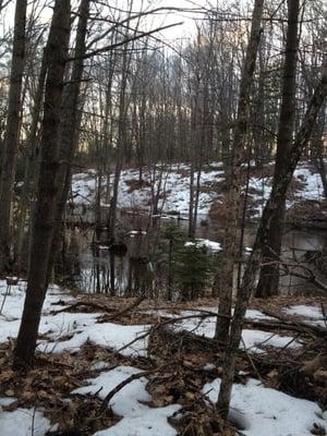 Clark's Pond Trail