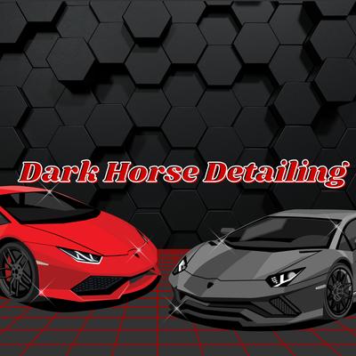 Dark Horse Detailing