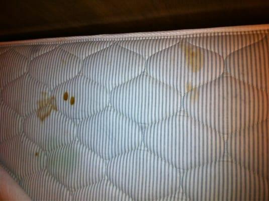 This was as much as I could take from the mattress. I wasn't able to go further. My stomach couldn't take it.