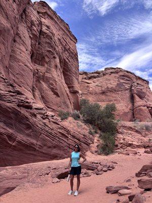 Monkey Bar Fitness and Nutrition