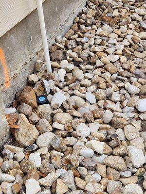 Lone Star Landscaping and Tree Service