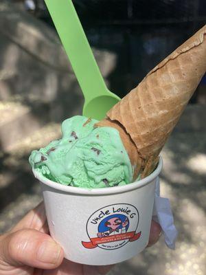 Mint chocolate chip