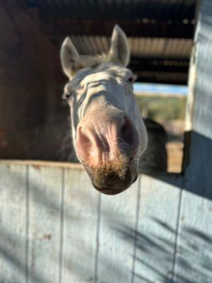 Double W Training Center