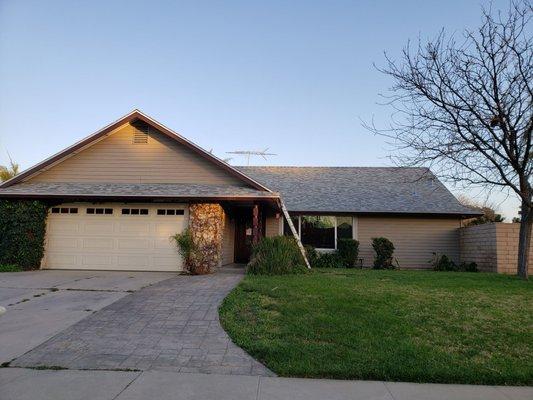 New Paradise Construction