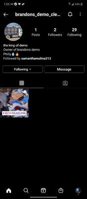 Brandons Demo And Cleanouts