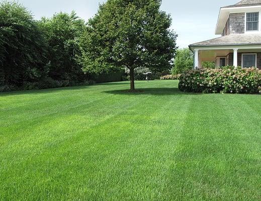 Ivy Green Lawncare