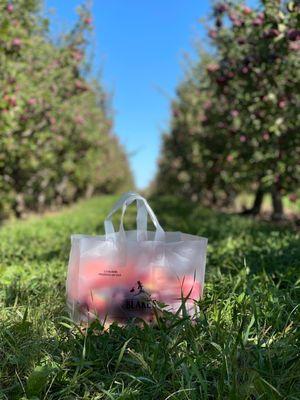 Apple haul @ Blake's Lyon Township