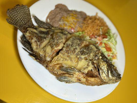 Little Joes Fresh Mex