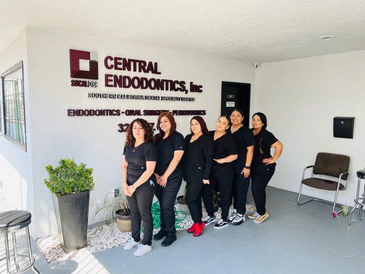 Our friendly and professional staff