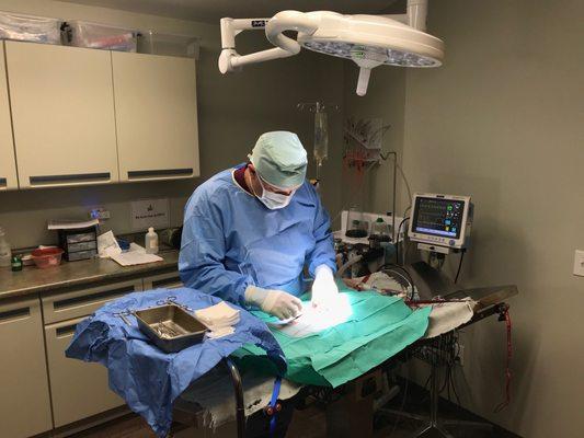 Star Hill Veterinary Clinic