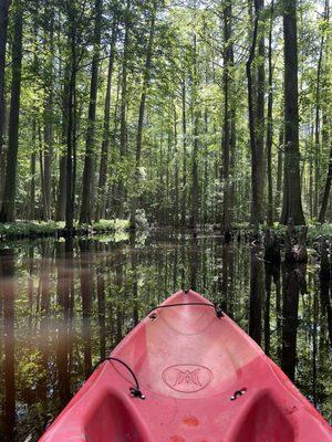 Trap Pond State Park