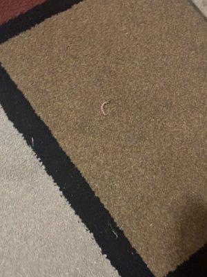 Jessey Food and Liquor