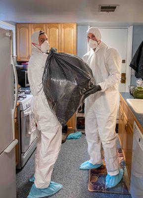 Mold removal bagged and sealed ready for transport.