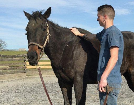 The Foxie G Foundation