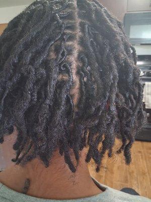 Knotted Rootz Loc Clinic