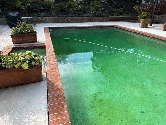 My landlord's pool that Abraham was meant to be servicing