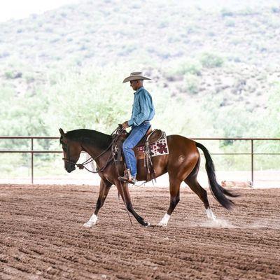 Jeffrey Wilms Training & Management Inc.