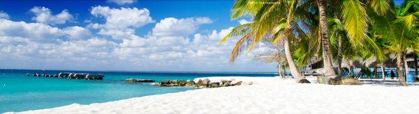 Absolute Travel Group