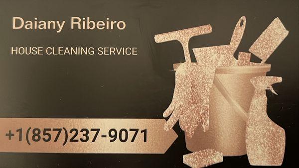 Day house cleaning service