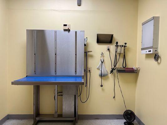 This is one of his treatment spaces. Has no animal smells.