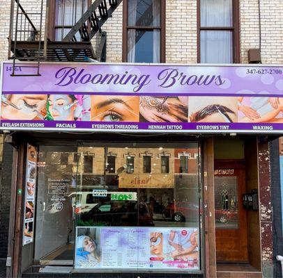 Blooming Brows
