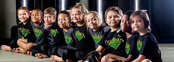 Premier Martial Arts East Lake