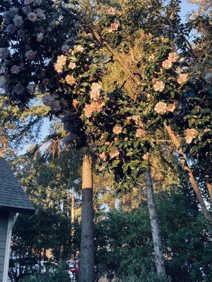 Weimart Natural Food Store