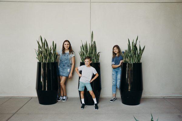 Alexis Scullin Photography