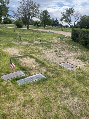 Dead grass and weeds. Memorial Day 2022.