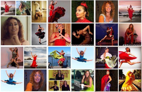 tachiriaflamenco.com