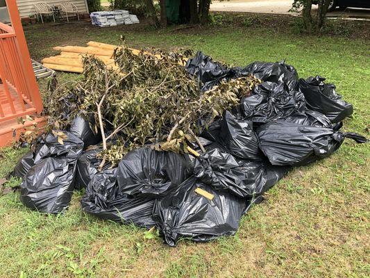 Yard debris and trash clean up.