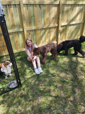 Randalls backyard Doggy Daycare