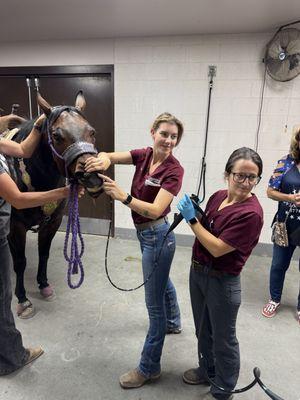 Chaparral Veterinary Medical Center