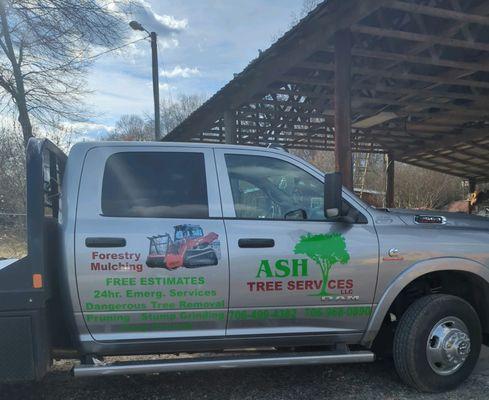 Alto's Tree Service