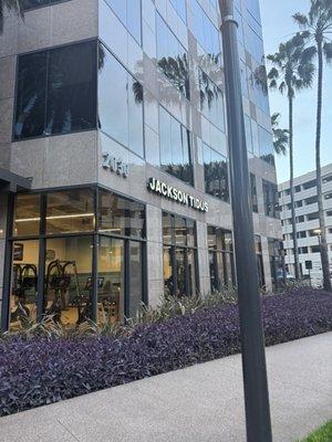 Jackson Demarco Tidus & Peckenpaugh