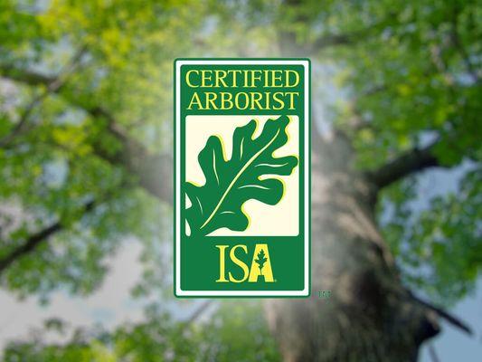 Domingo Castaneda is our certified arborist on staff. His license number is WE-13235A.