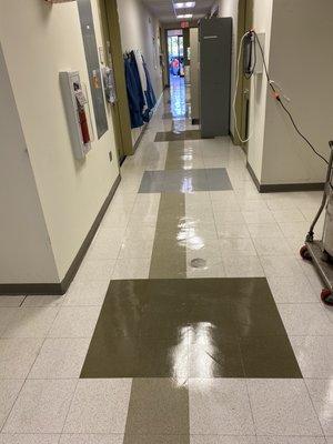 Shine Bright Cleaning Service