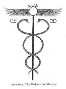 El Bey and Associates