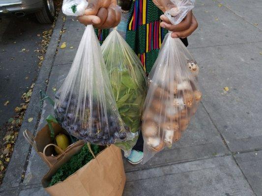 Libertad Urban Garden