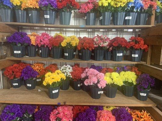 R & S Floral Factory Warehouse