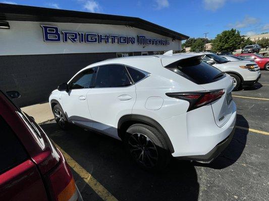 Brighton Motors