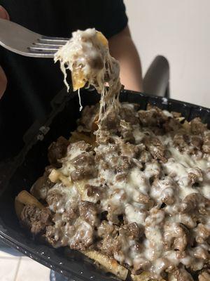 Carne Asada Fries