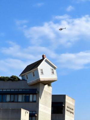 The Loft at UC San Diego